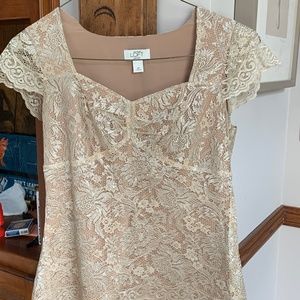 Ann Taylor loftbpetites sparkle lace blouse.‎ Worn once